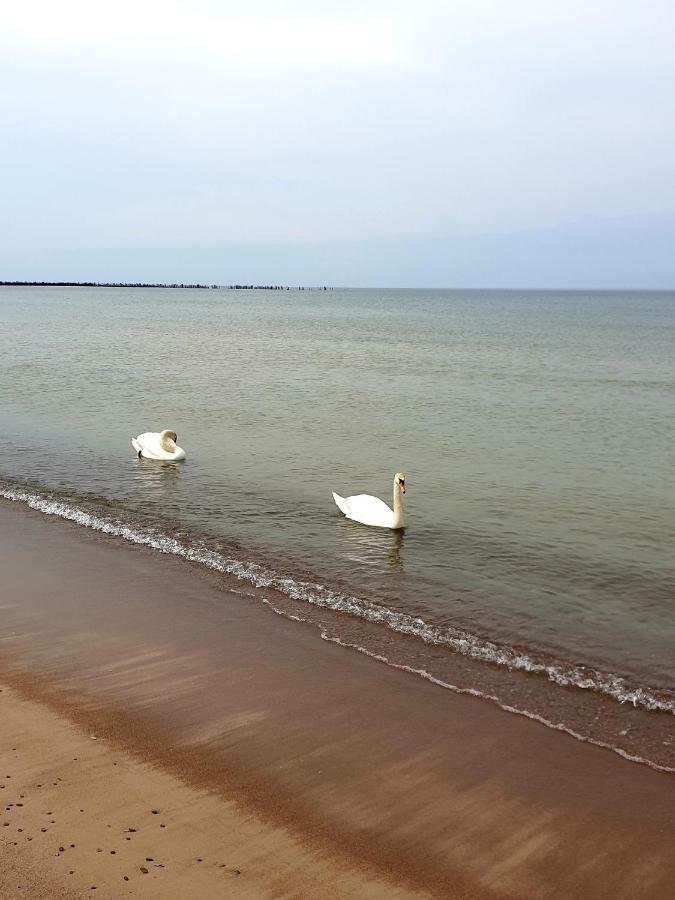 Palanga Apartments Near Baltic Sea Ngoại thất bức ảnh